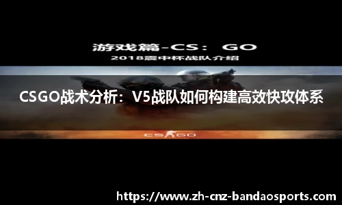 半岛体育APP